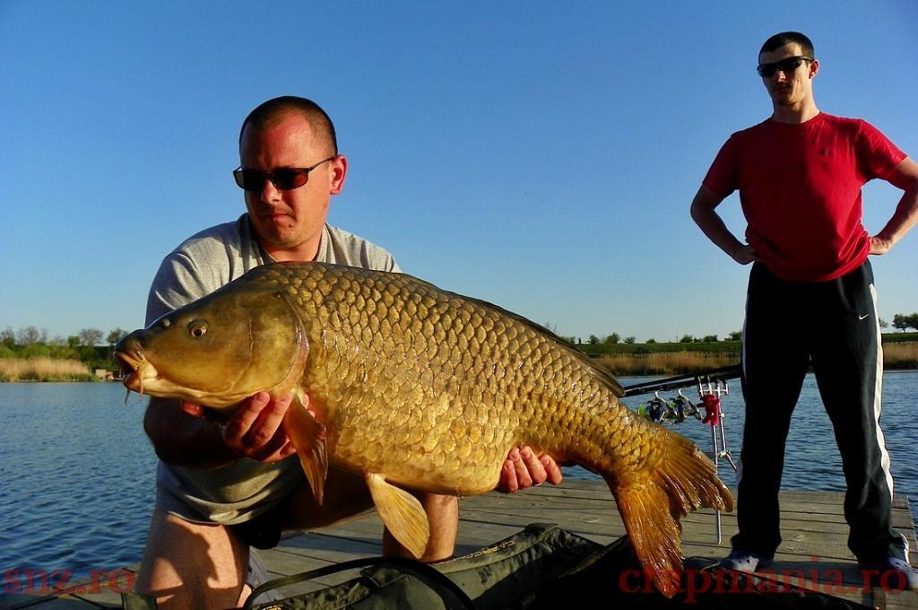 Trofeul tancabesti 2013 - 1010315.jpg